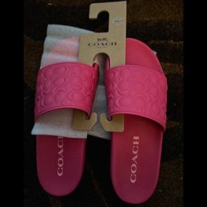 Signature Coach Slides